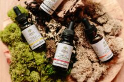 CBD olie flasker ligger på bakke med mos